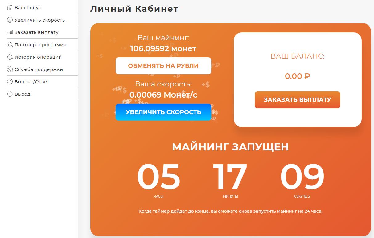 Rub coin доход