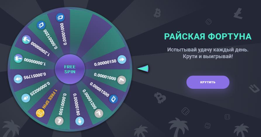 Paradice колесо